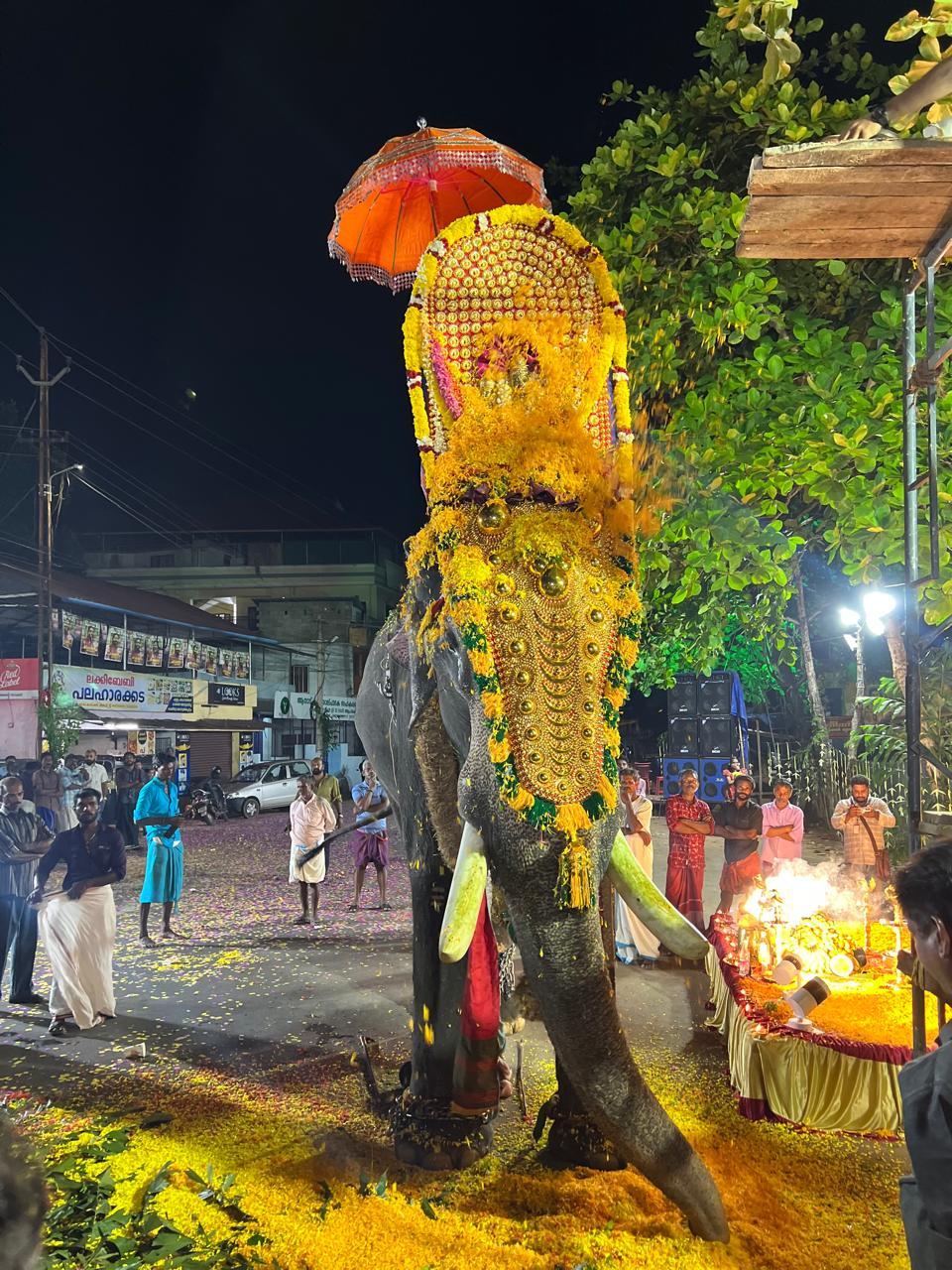 ഉത്സവ ആഘോഷം